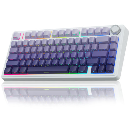 Wireless Mechanical Gaming Keyboard with RGB