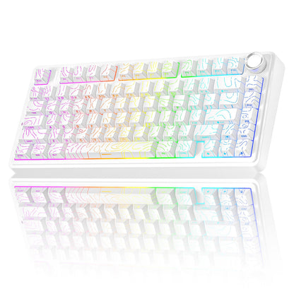 Wireless Mechanical Gaming Keyboard with RGB