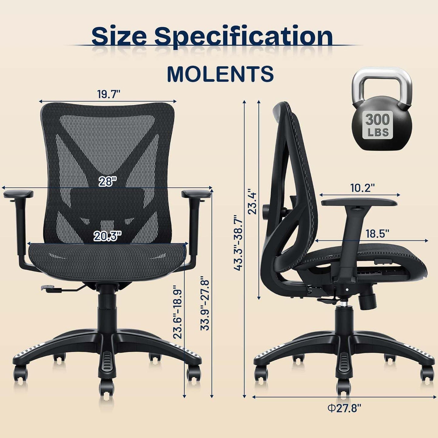 Ergonomic Office Chair with Lumbar Support