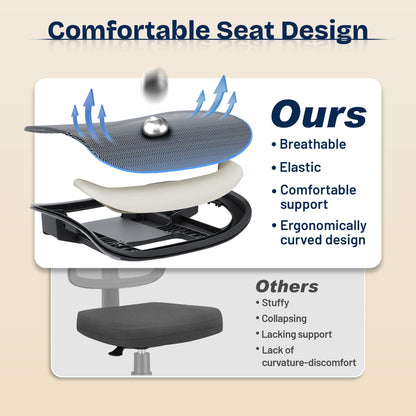 Ergonomic Office Chair with Lumbar Support