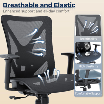 Ergonomic Office Chair with Lumbar Support