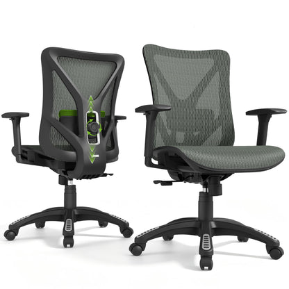 Ergonomic Office Chair with Lumbar Support